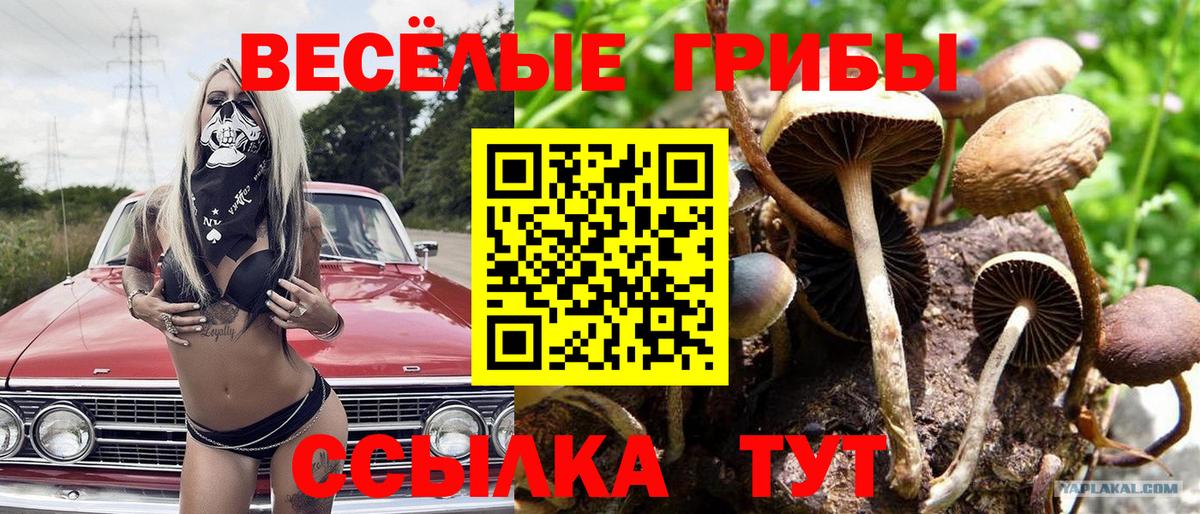 Тверь  МАРИХУАНА  Вход с VPN  МЕТ  МЕФ кристаллы  A-PVP СК   COCAIN 